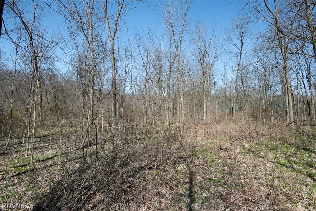 Ville Drake Road Strongsville OH 44149