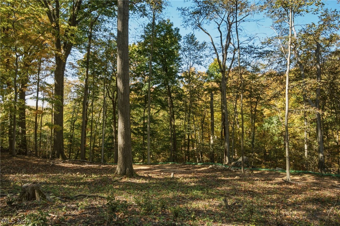 10899 Tibbetts Road Kirtland OH 44094