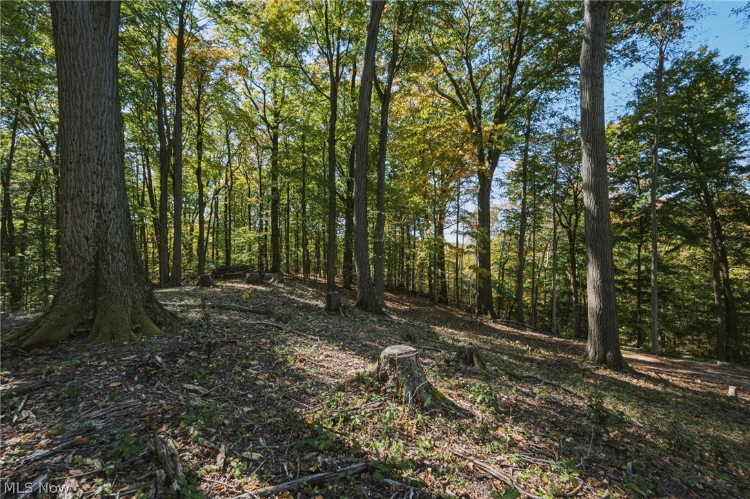 10899 Tibbetts Road Kirtland OH 44094