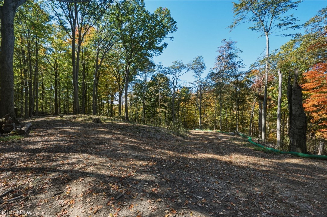 10899 Tibbetts Road Kirtland OH 44094