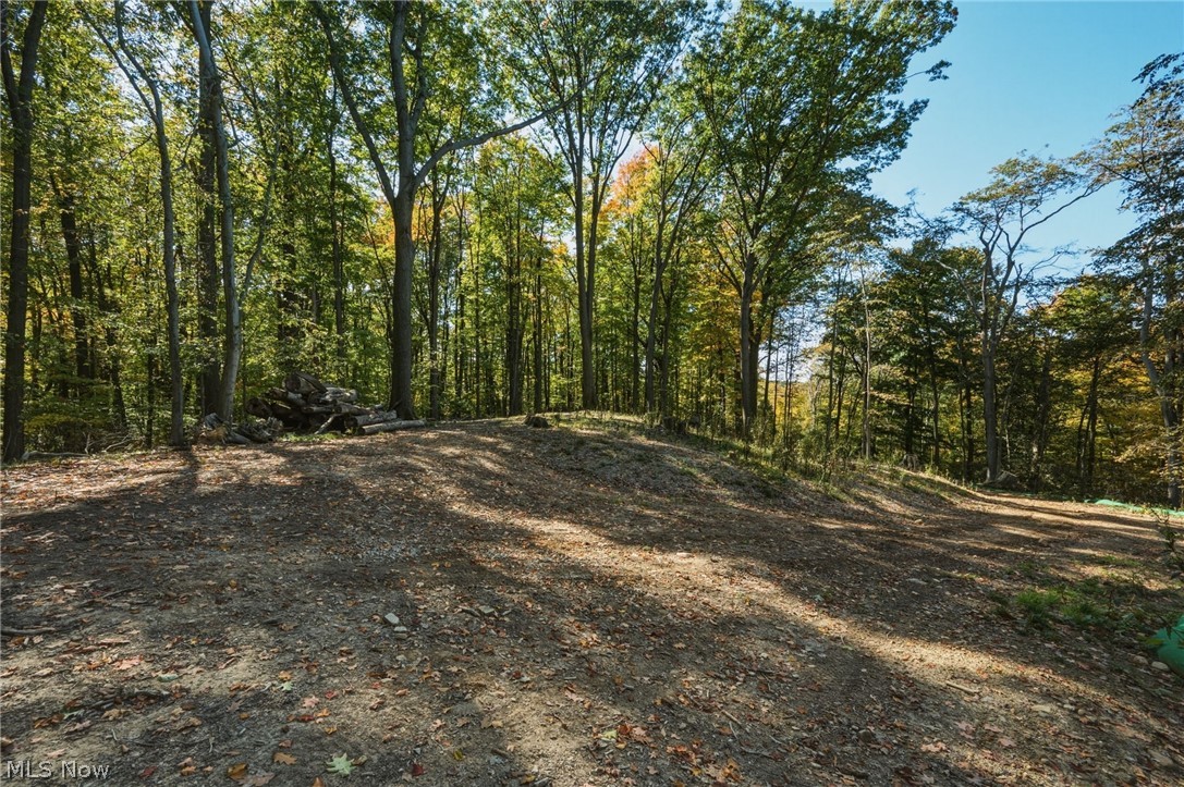 10899 Tibbetts Road Kirtland OH 44094