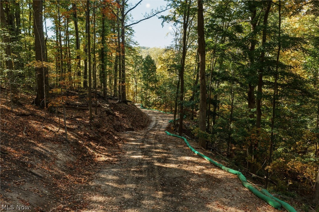 10899 Tibbetts Road Kirtland OH 44094