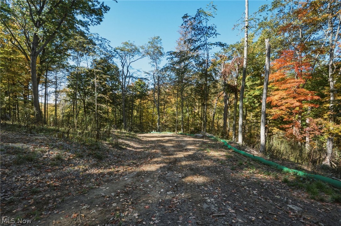 10899 Tibbetts Road Kirtland OH 44094