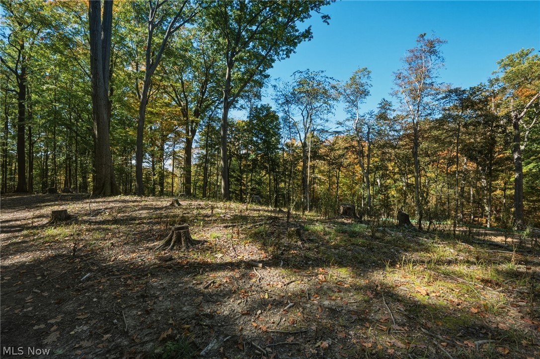 10899 Tibbetts Road Kirtland OH 44094