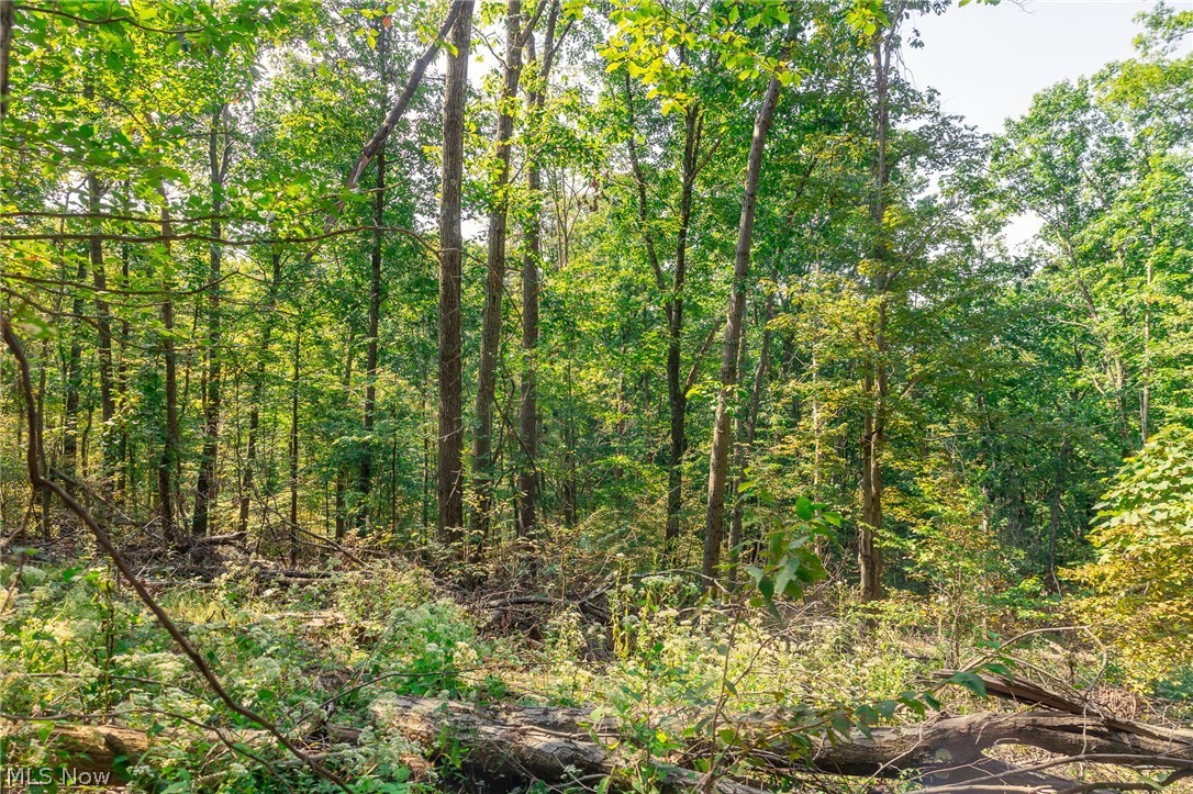 84134 Brewer Road Cadiz OH 43907