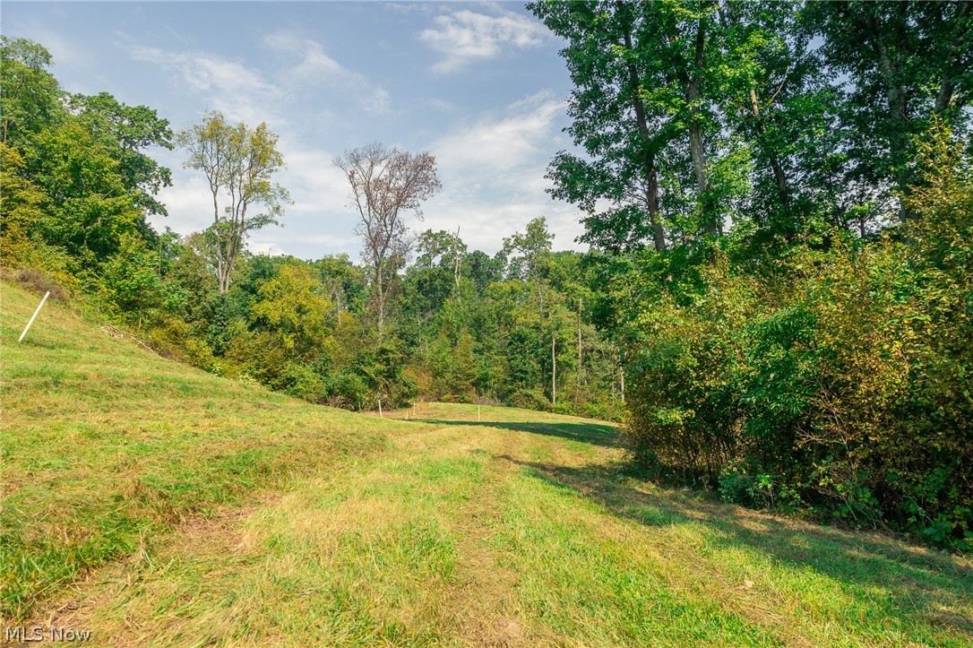 84134 Brewer Road Cadiz OH 43907