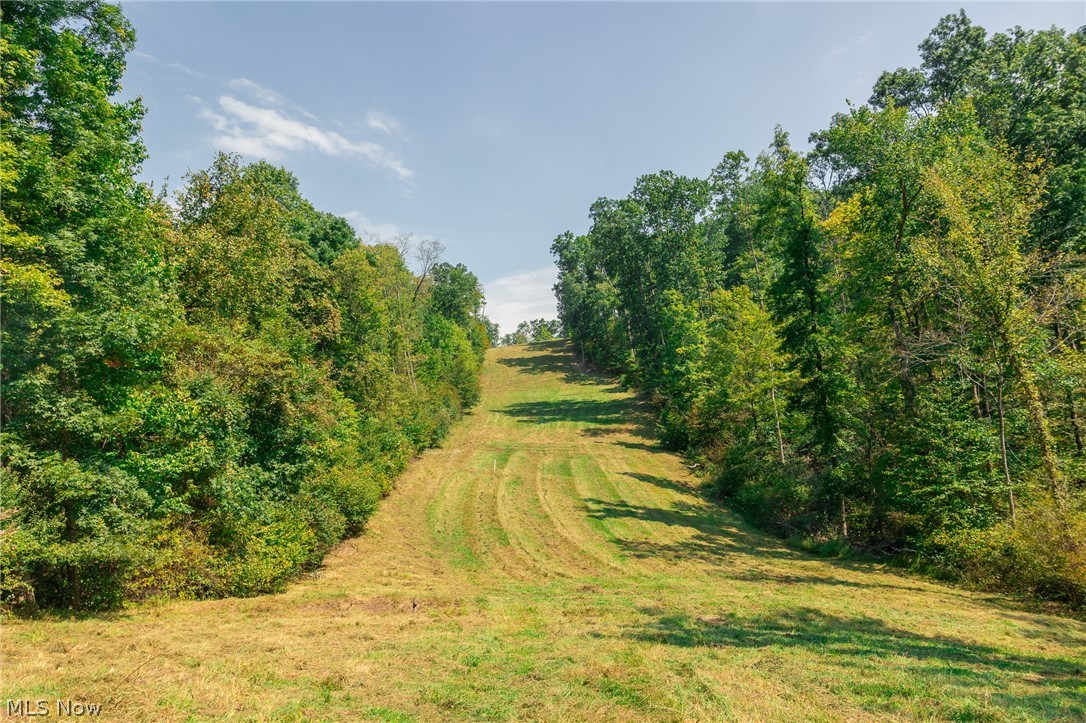 84134 Brewer Road Cadiz OH 43907