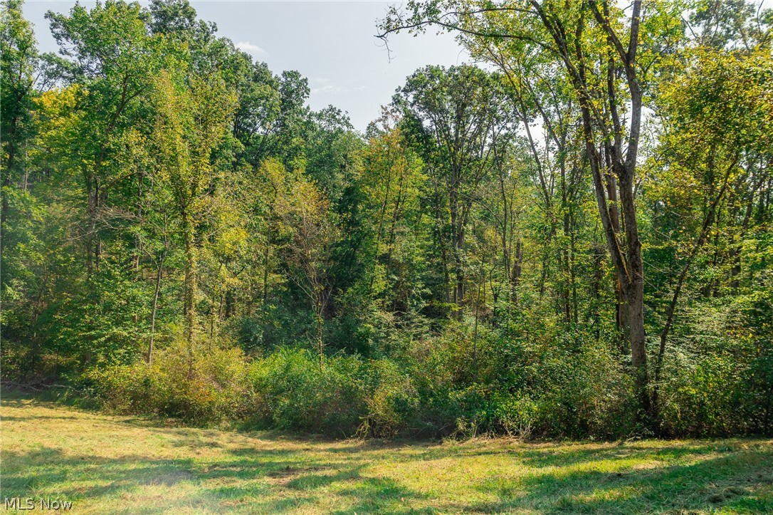 84134 Brewer Road Cadiz OH 43907