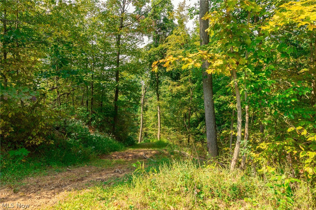 84134 Brewer Road Cadiz OH 43907