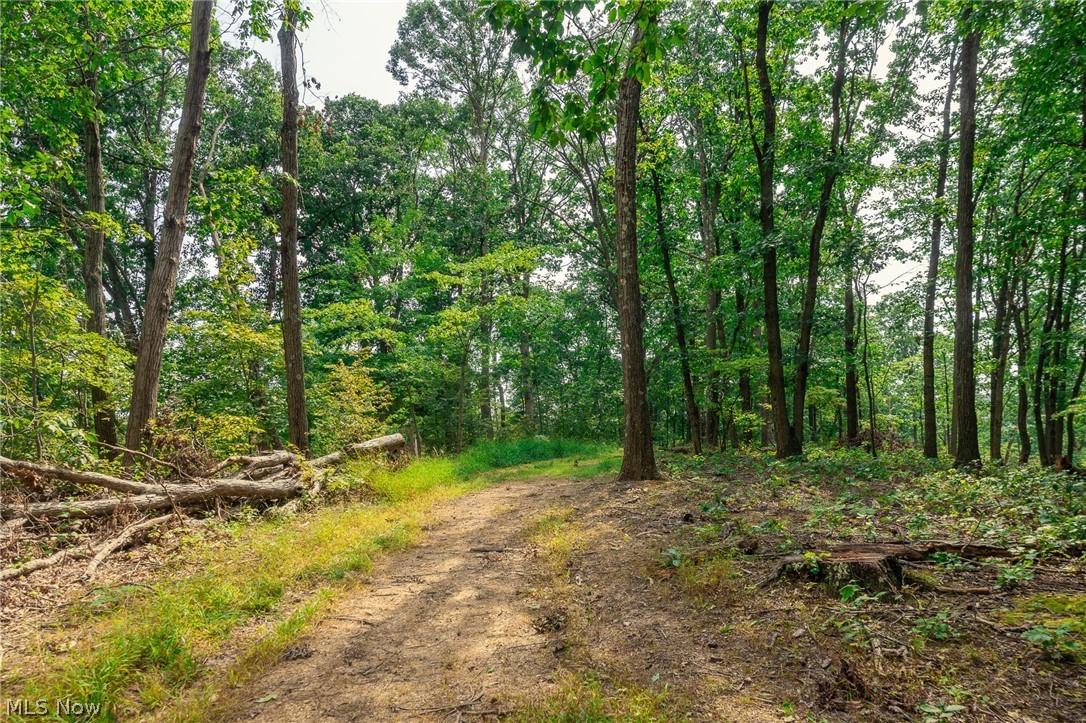 84134 Brewer Road Cadiz OH 43907
