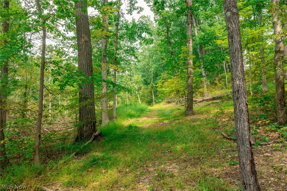 84134 Brewer Road Cadiz OH 43907