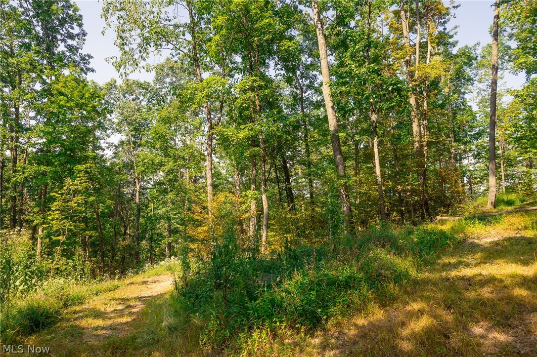 84134 Brewer Road Cadiz OH 43907