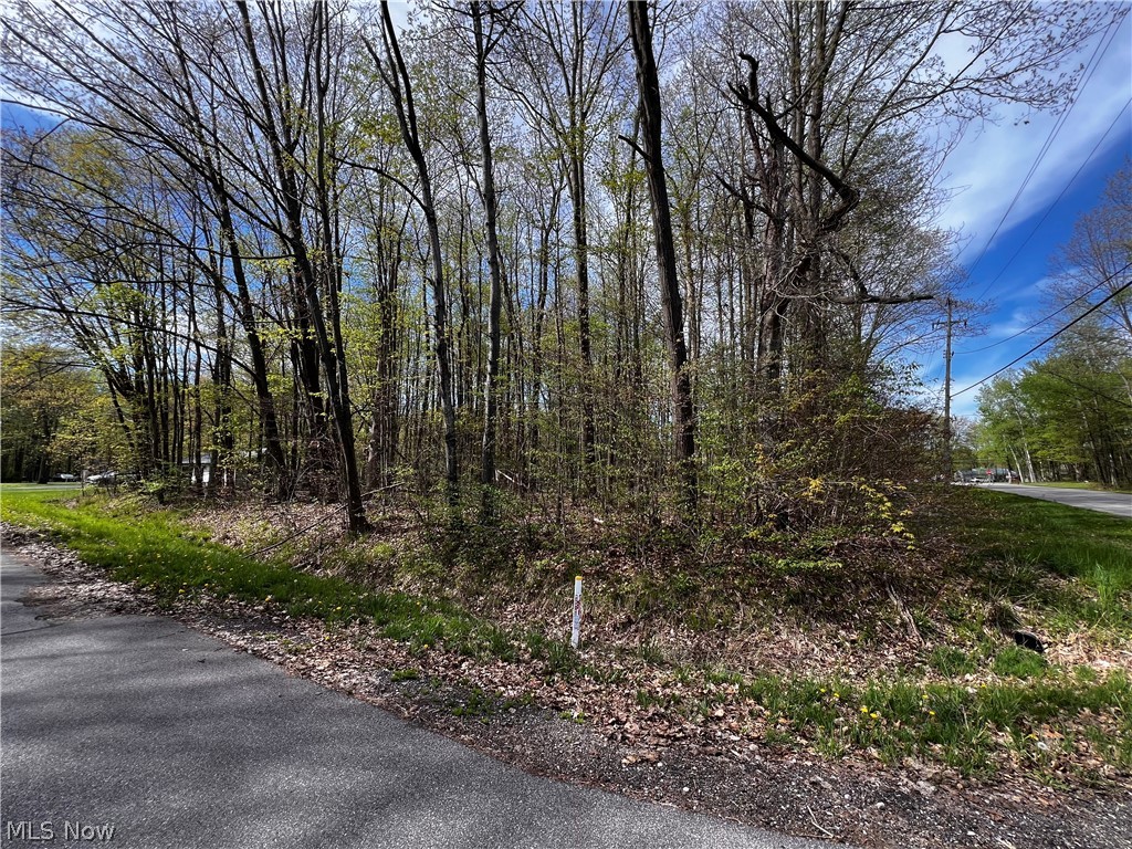 2154 Flame Lake Drive Roaming Shores OH 44084