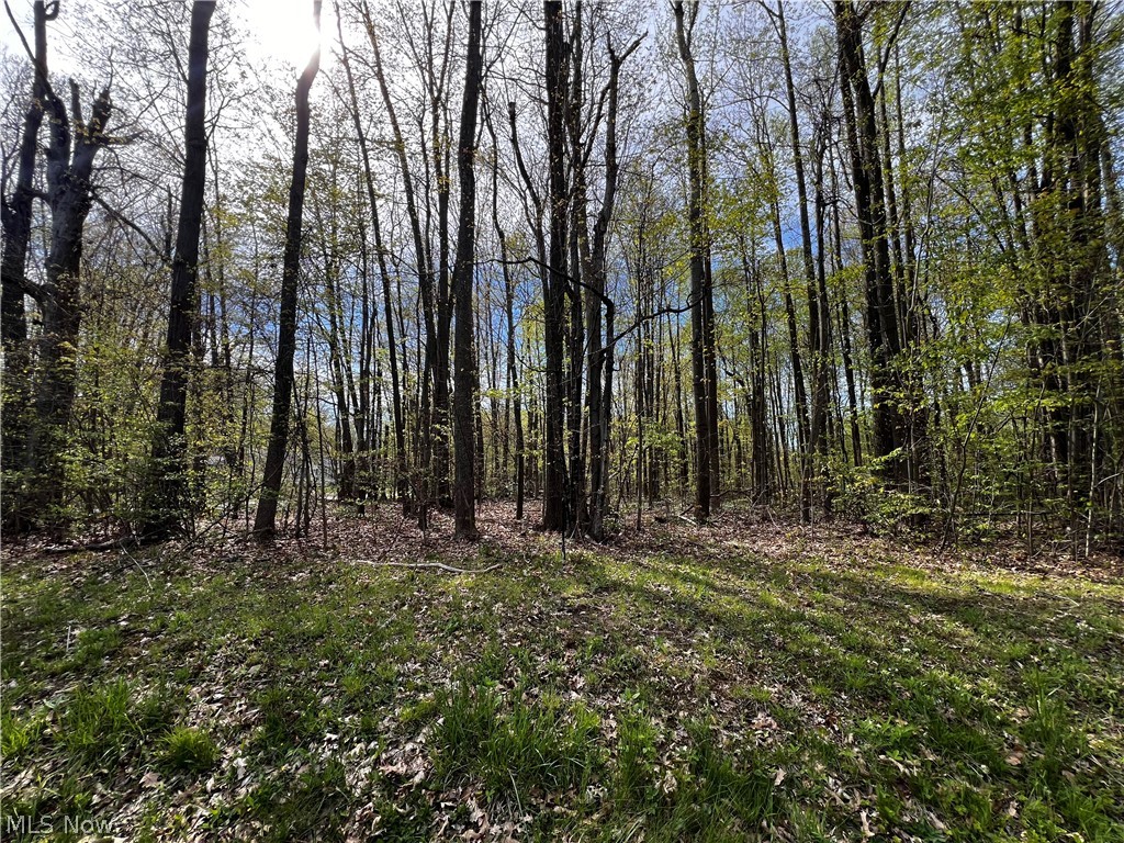 2154 Flame Lake Drive Roaming Shores OH 44084