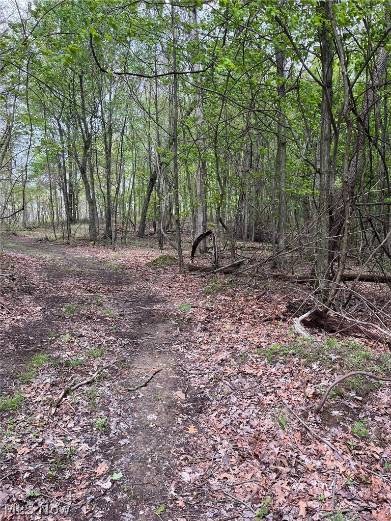 Sandy Ridge Road Tippecanoe OH 44699