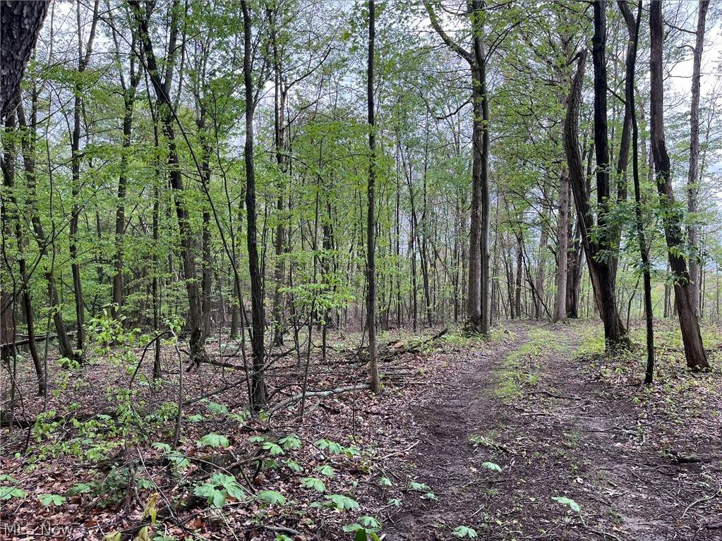 Sandy Ridge Road Tippecanoe OH 44699