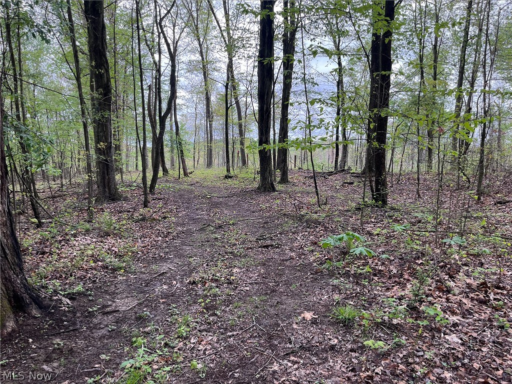 Sandy Ridge Road Tippecanoe OH 44699