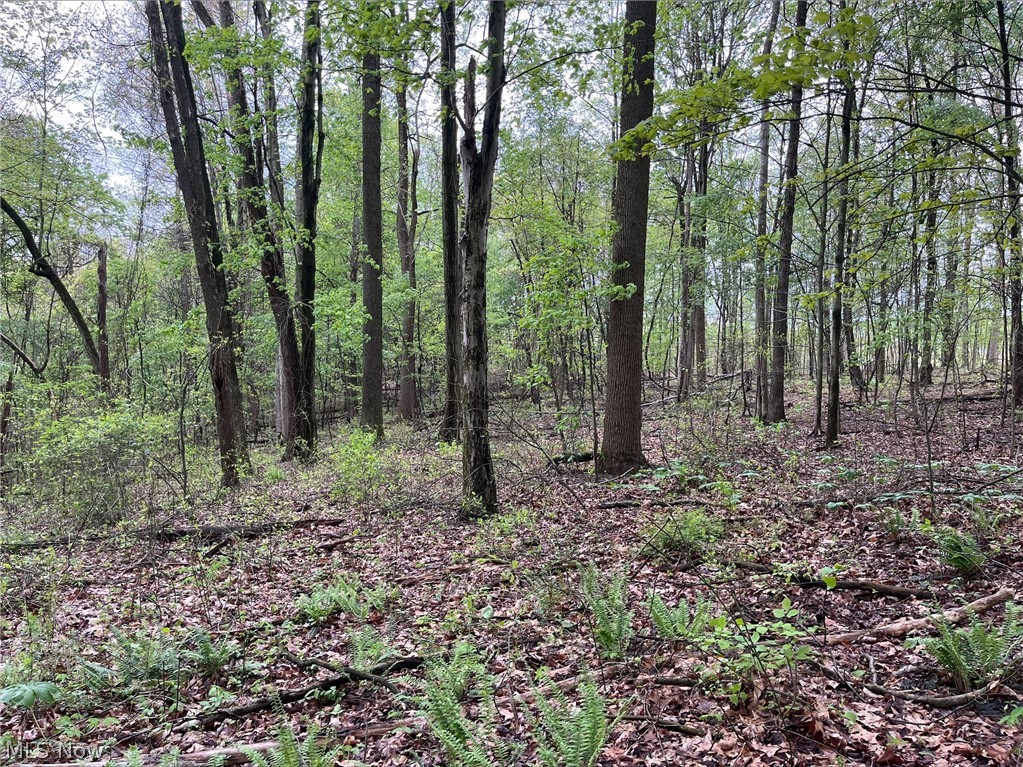 Sandy Ridge Road Tippecanoe OH 44699