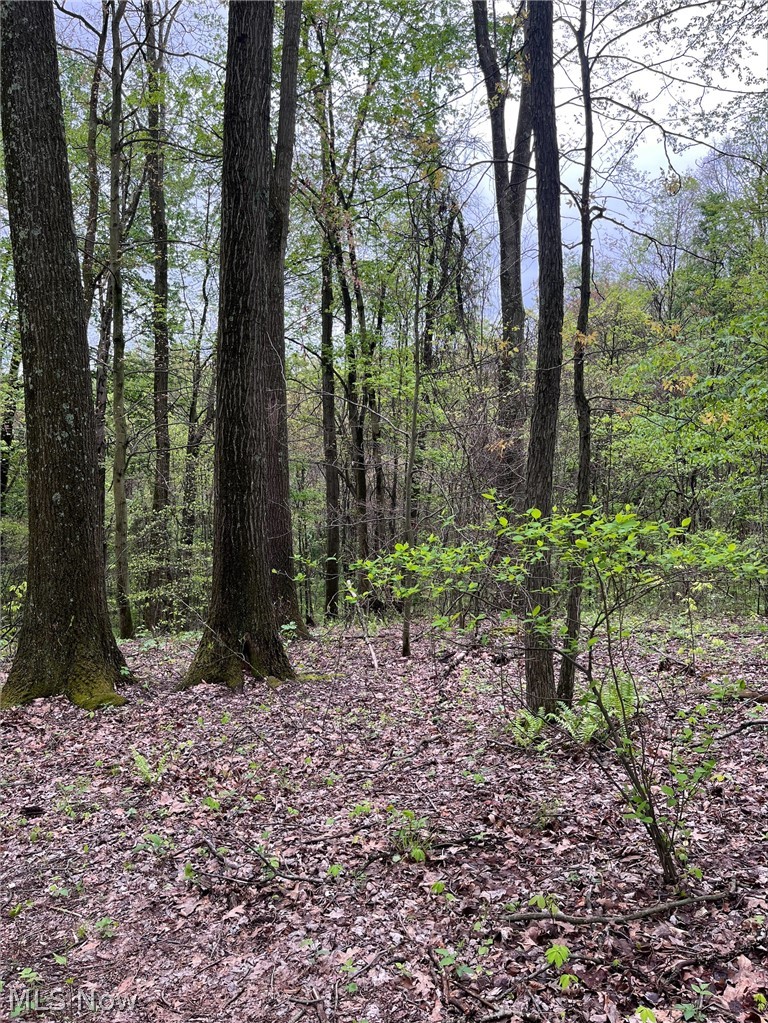 Sandy Ridge Road Tippecanoe OH 44699