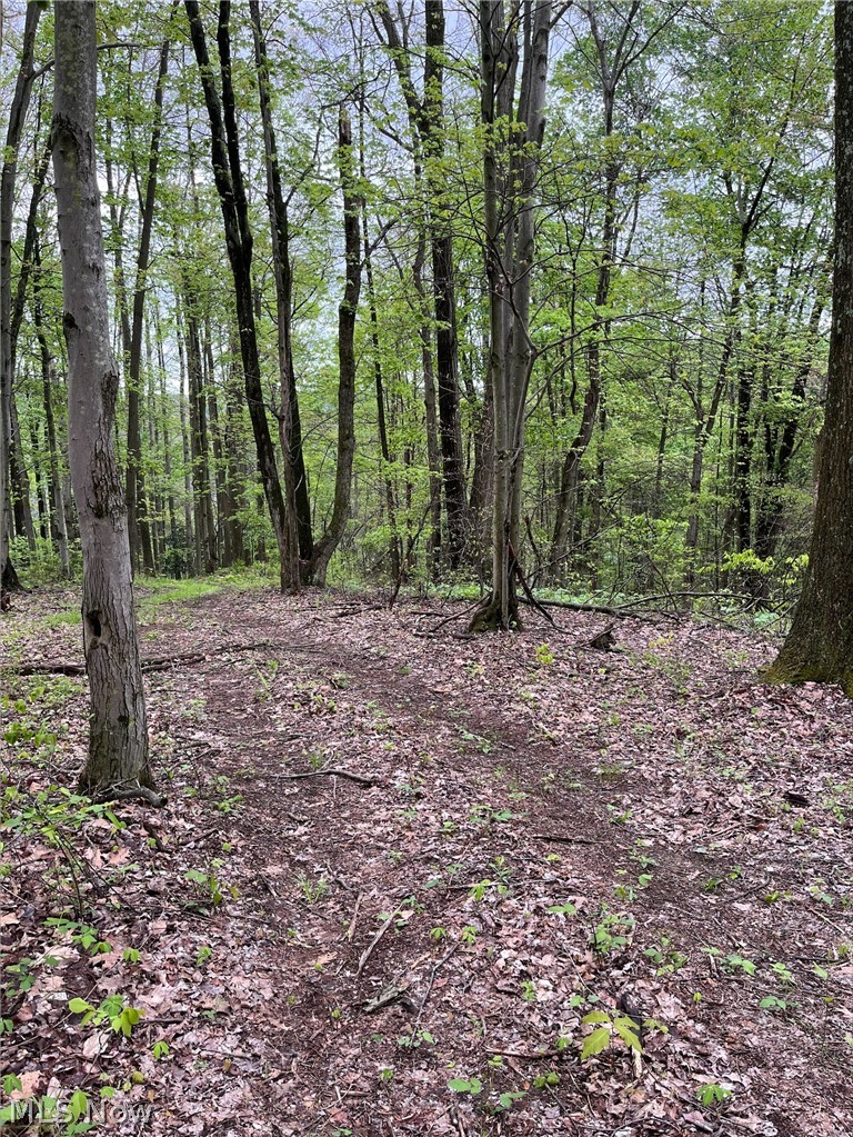 Sandy Ridge Road Tippecanoe OH 44699