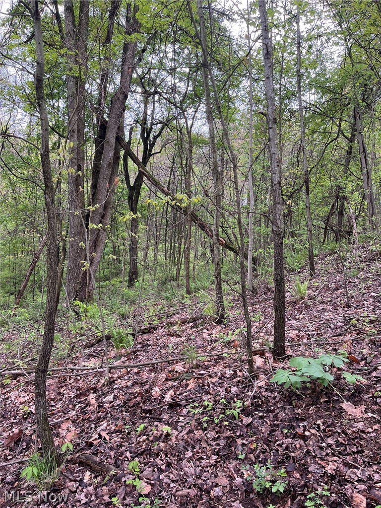 Sandy Ridge Road Tippecanoe OH 44699