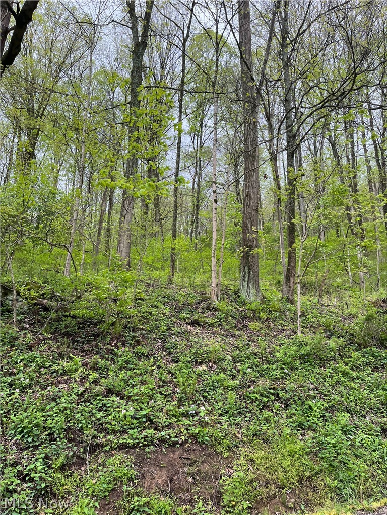 Sandy Ridge Road Tippecanoe OH 44699