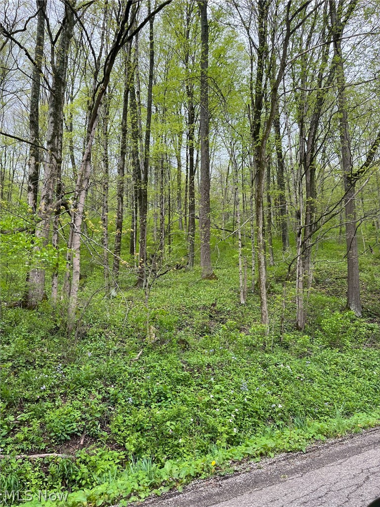 Sandy Ridge Road Tippecanoe OH 44699