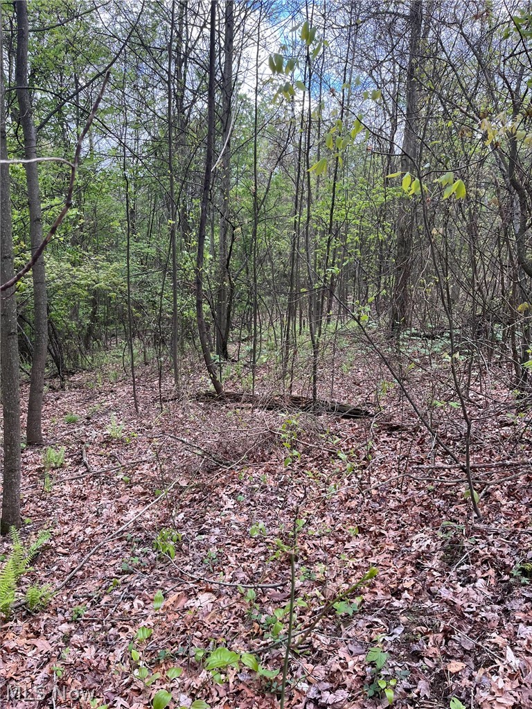 Sandy Ridge Road Tippecanoe OH 44699