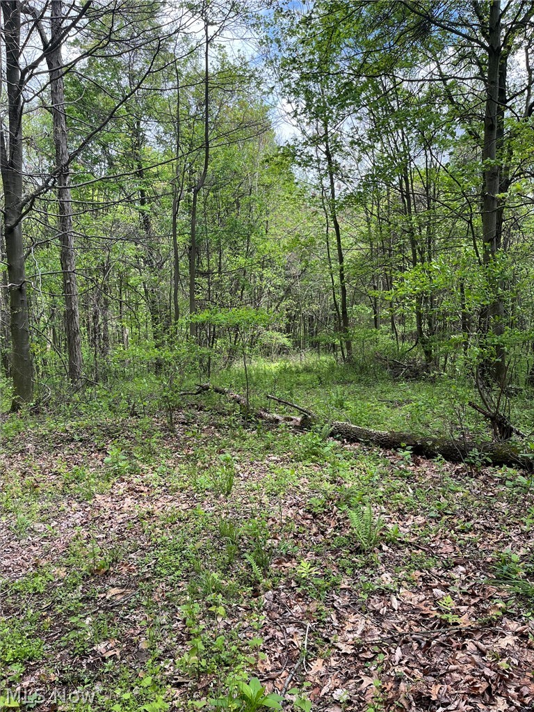Sandy Ridge Road Tippecanoe OH 44699
