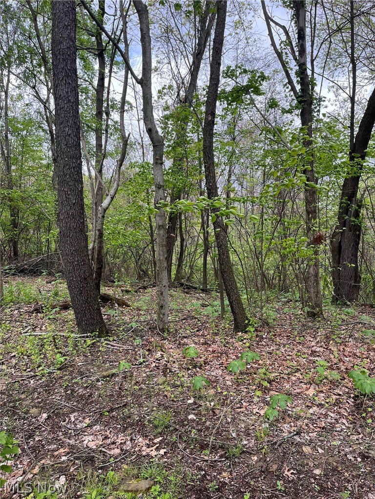 Sandy Ridge Road Tippecanoe OH 44699
