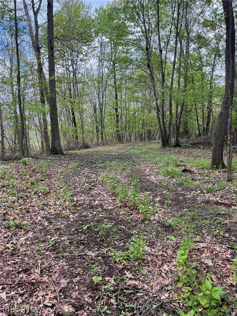 Sandy Ridge Road Tippecanoe OH 44699