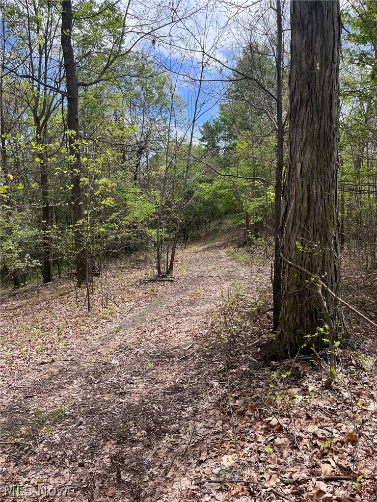 Sandy Ridge Road Tippecanoe OH 44699