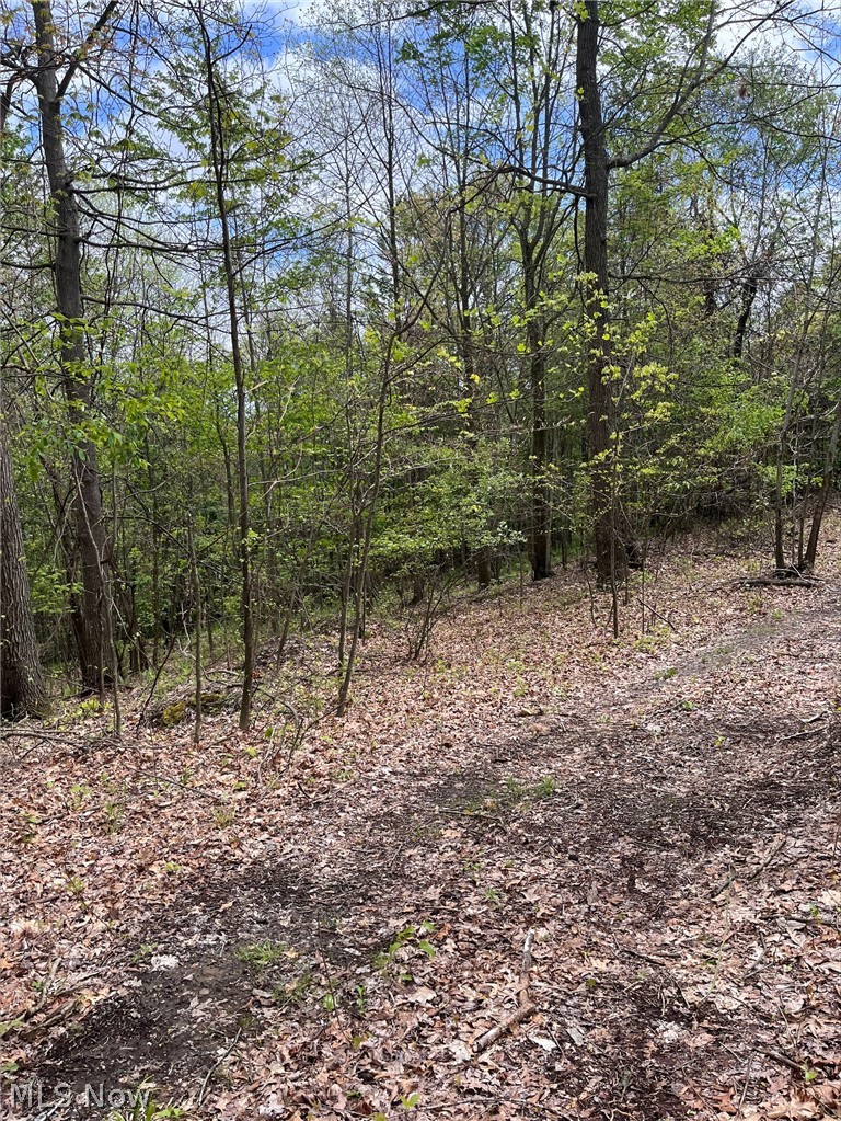 Sandy Ridge Road Tippecanoe OH 44699