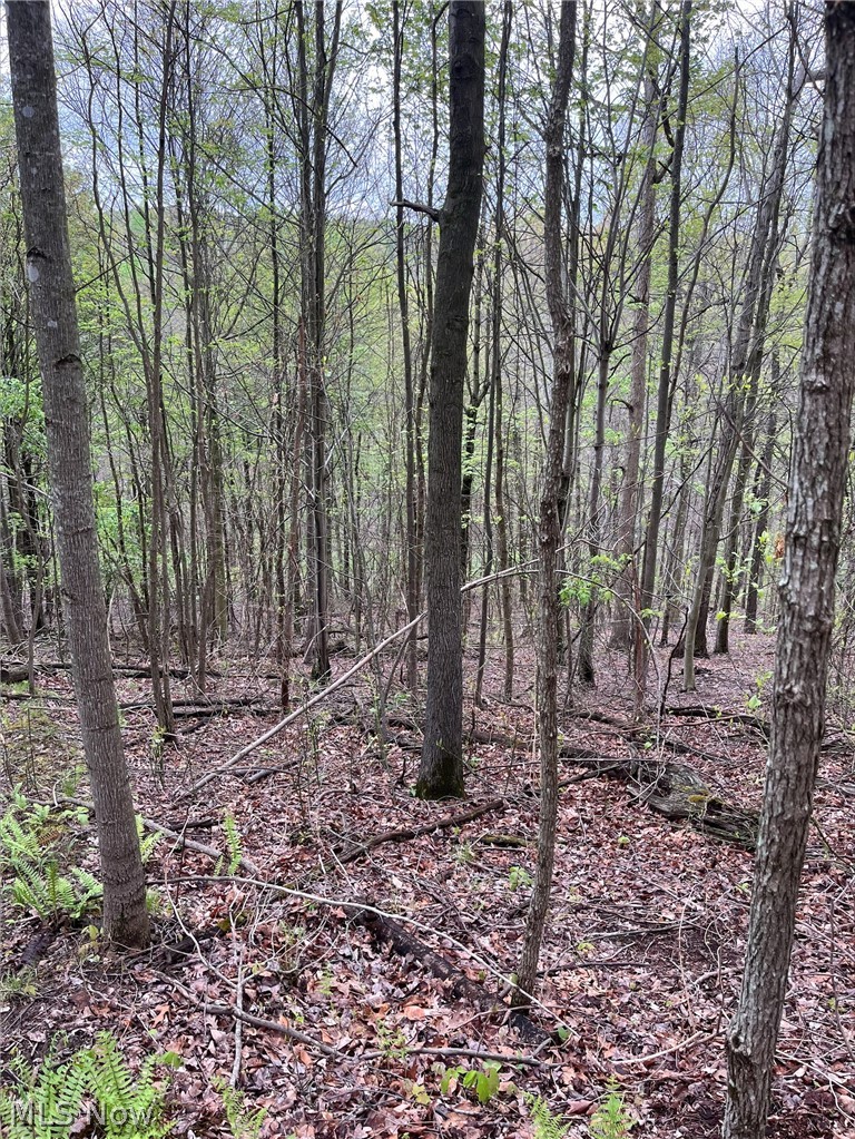 Sandy Ridge Road Tippecanoe OH 44699