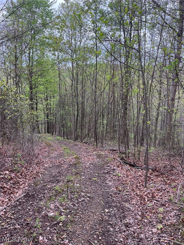 Sandy Ridge Road Tippecanoe OH 44699