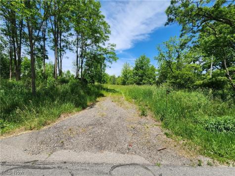 14161 Painesville Warren Road Painesville OH 44077