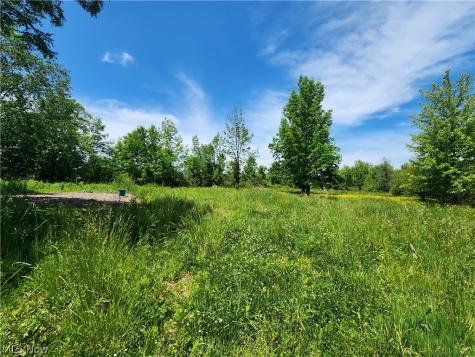 14161 Painesville Warren Road Painesville OH 44077