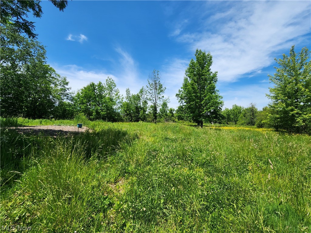 14161 Painesville Warren Road Painesville OH 44077