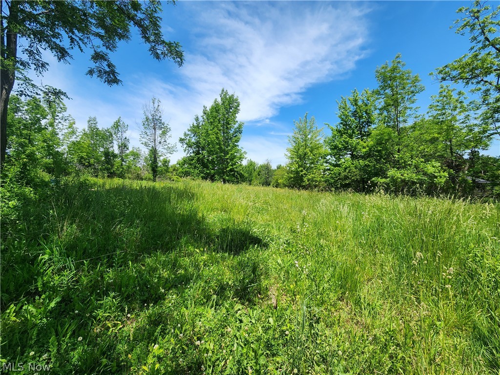 14161 Painesville Warren Road Painesville OH 44077