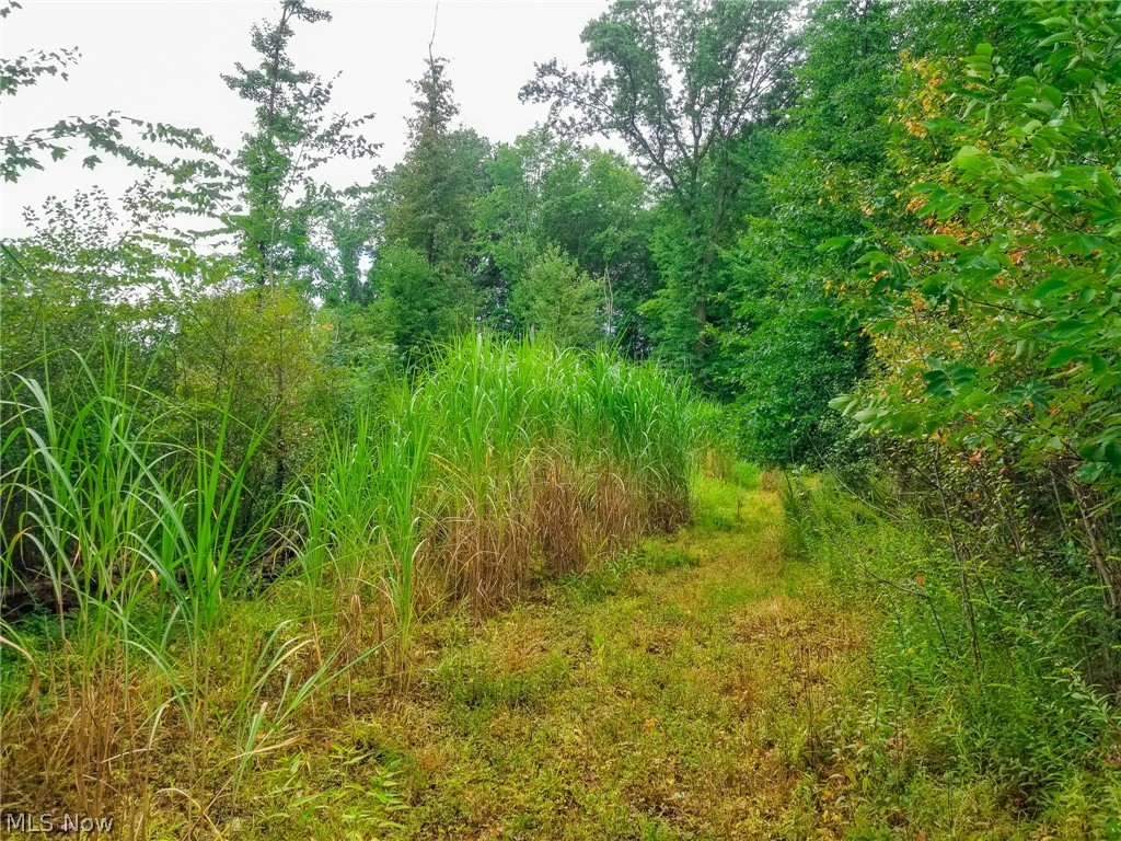 River Road Warren OH 44483