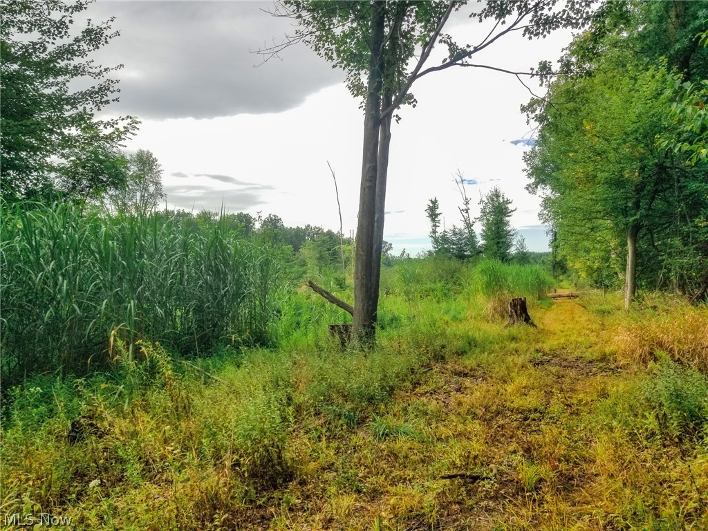 River Road Warren OH 44483
