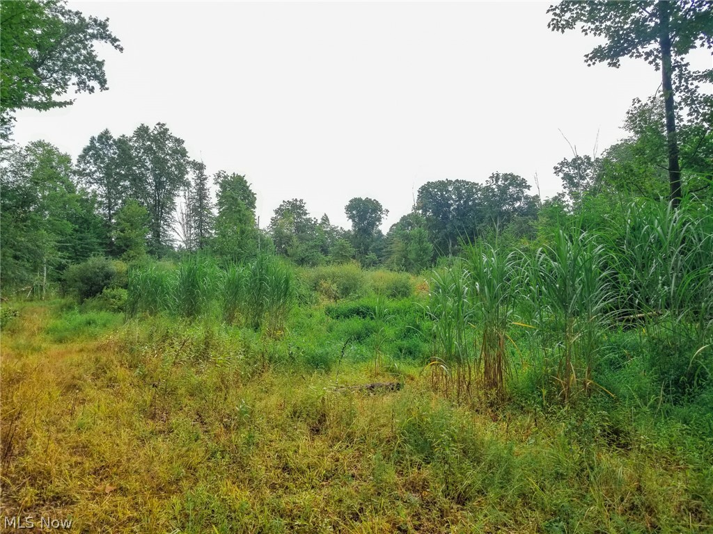 River Road Warren OH 44483