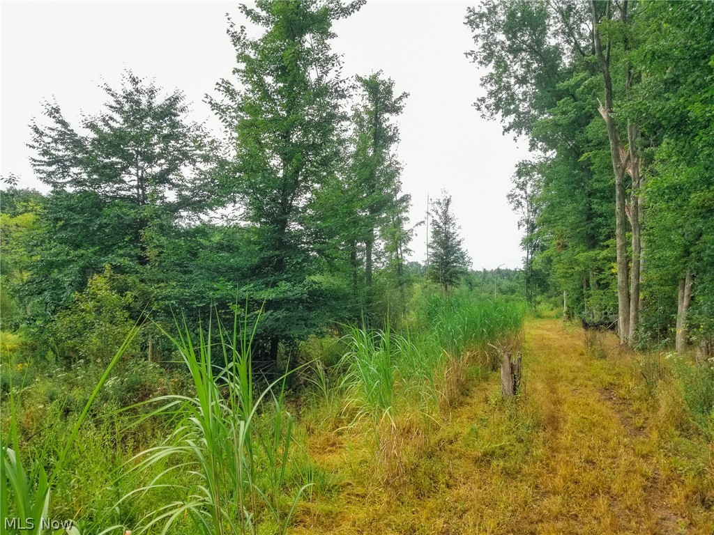 River Road Warren OH 44483