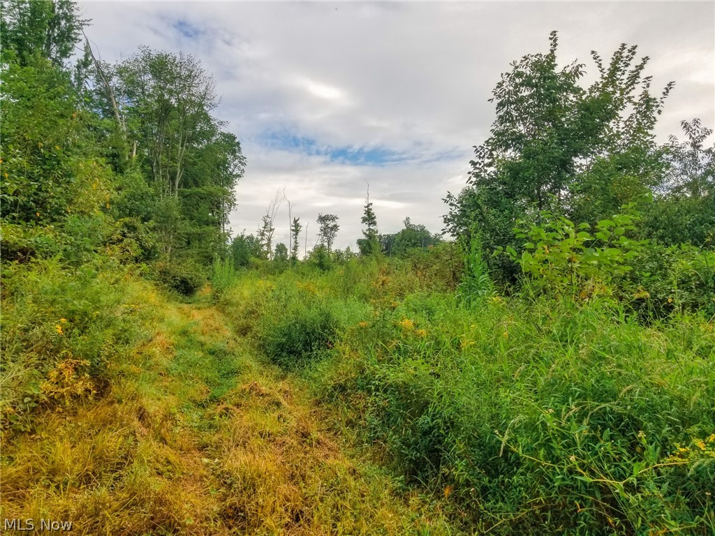 River Road Warren OH 44483