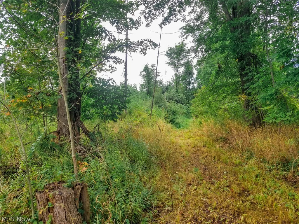 River Road Warren OH 44483