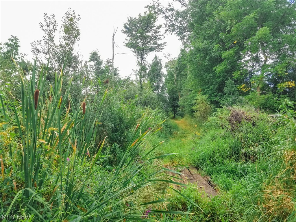 River Road Warren OH 44483