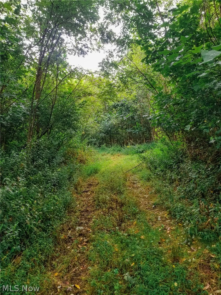River Road Warren OH 44483