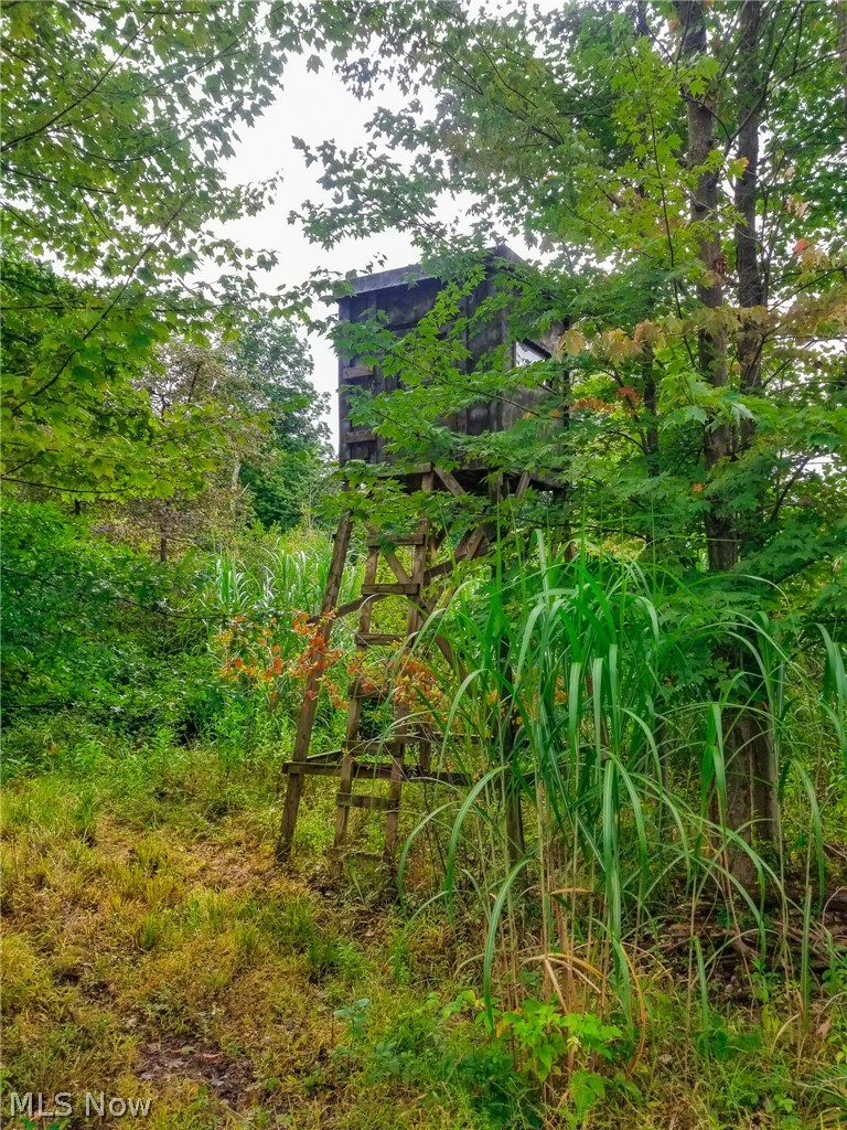 River Road Warren OH 44483