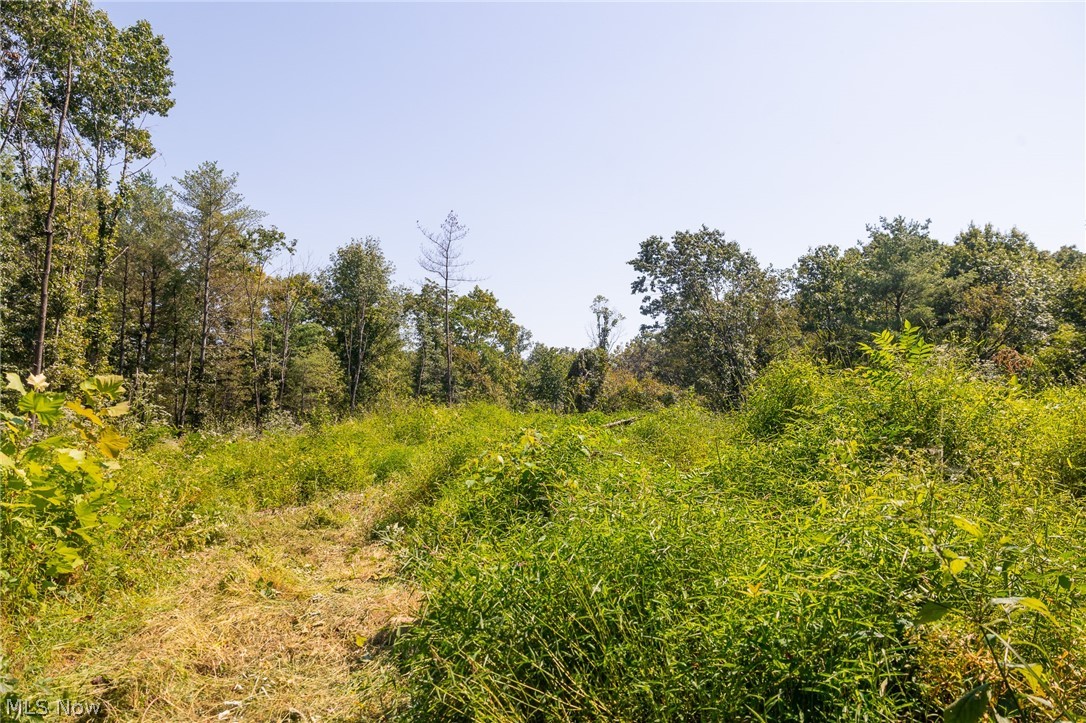 0 1 County Road 269 Glouster OH 43730