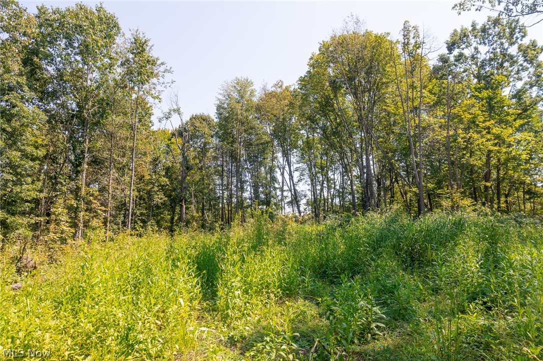 0 1 County Road 269 Glouster OH 43730